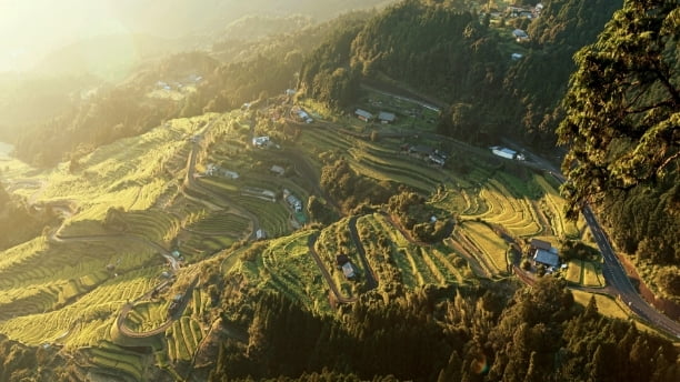 道の駅から始まる地方創生の画像
