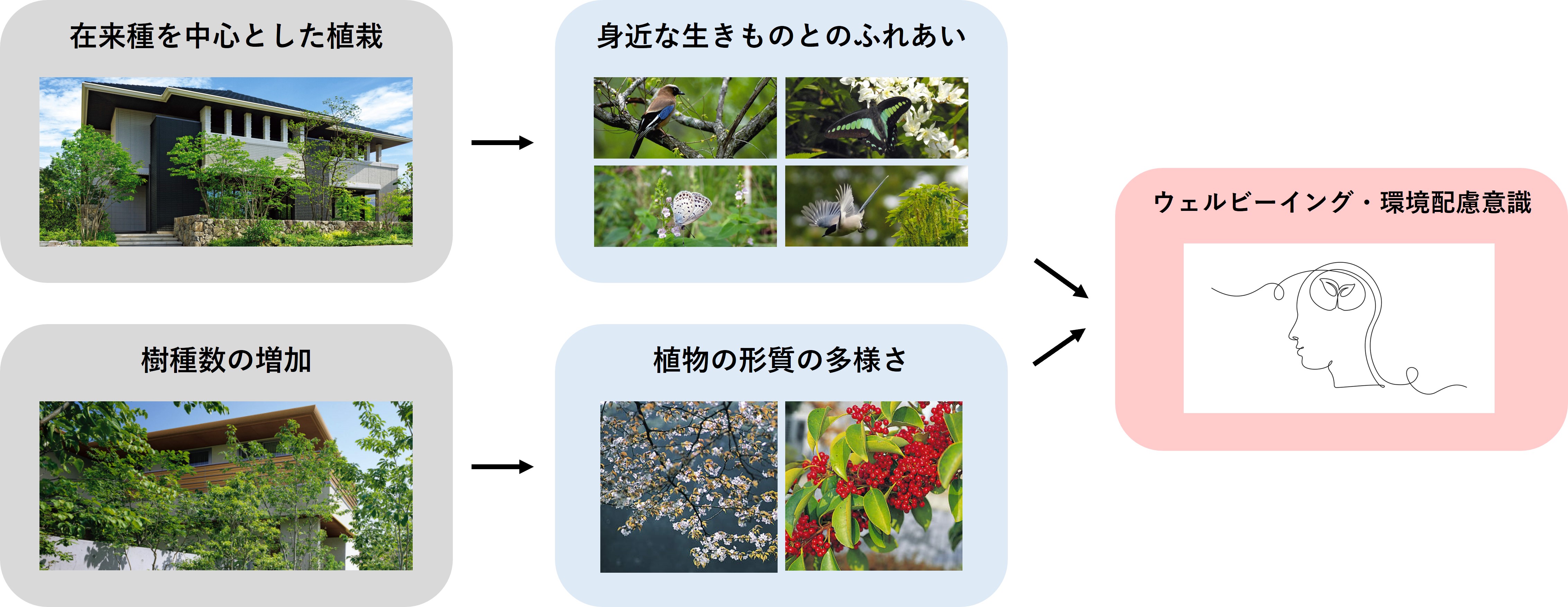 生物多様性と健康に関する共同研究についての最新分析結果