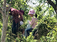 写真： 災害ボランティア活動