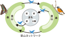 図：「5本の樹」による生態系ネットワーク