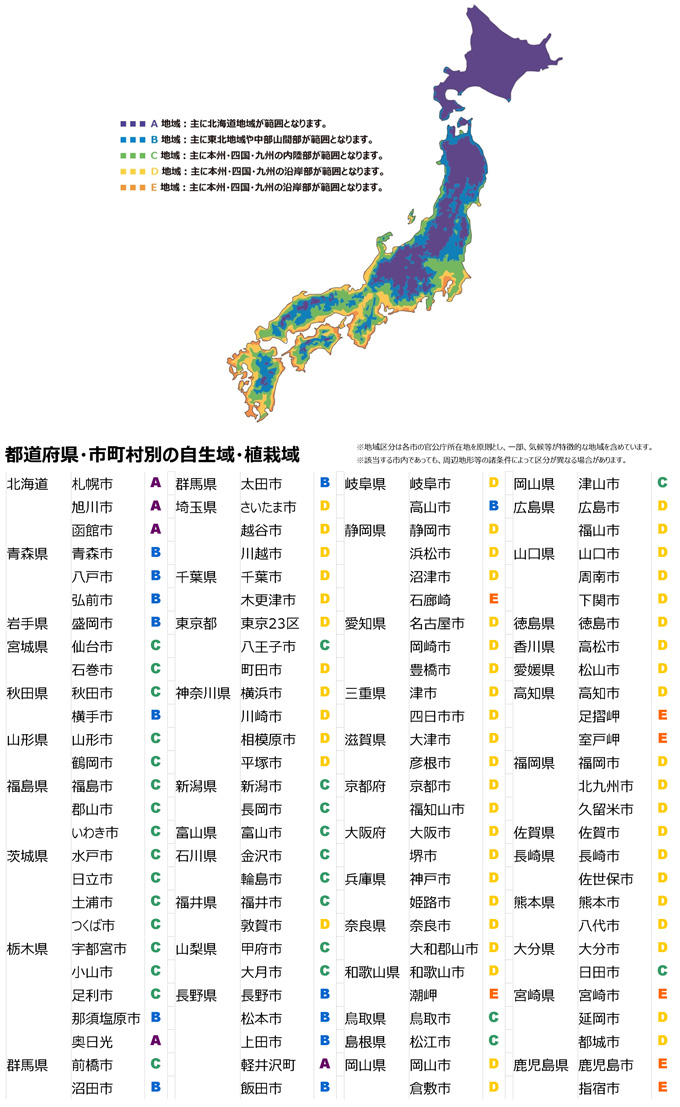 図：「5本の樹」計画の植栽例