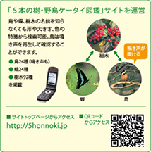 図：5本の樹・野鳥ケータイ図鑑