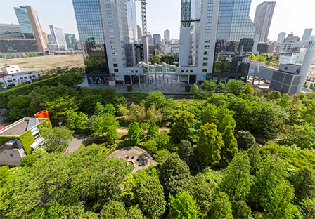 写真：「新・里山」を北側から望む