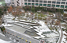 写真：冬
