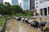 写真：田植え（6月）