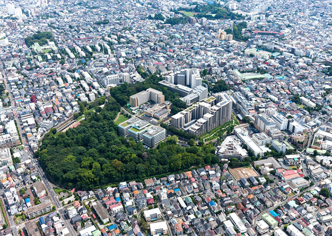 写真：