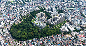 2019年5月