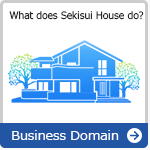 Business Domain