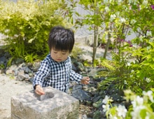 緑に包まれる主庭は、 ご家族の「第2のリビング」。