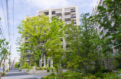 街路整備の行き届いた閑静な住宅地に立地。