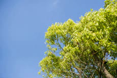 遠くへ出かけなくても「ちょっとしたお出かけが特別」に