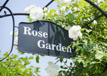バラを中心に、四季を通じて150種類もの草花が色とりどりの表情を見せてくれます。