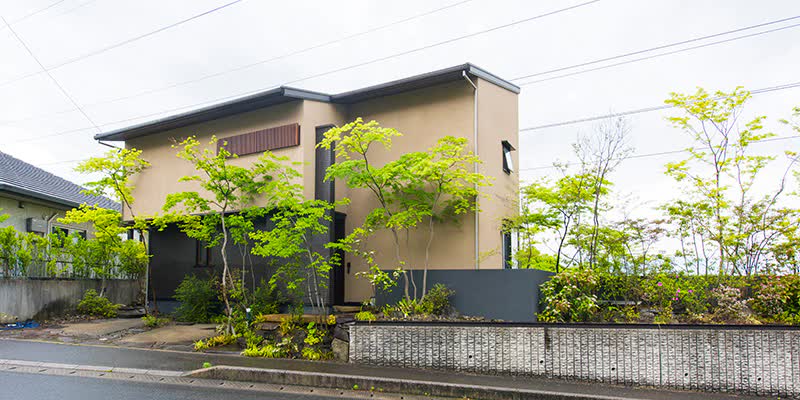 室内のどこに居ても緑を感じることができ、四季折々の眺めを楽しめる住まい。そこには、 晴れの日も雨の日も、平日も休日も、毎日を自分らしく過ごせる暮らしがありました。