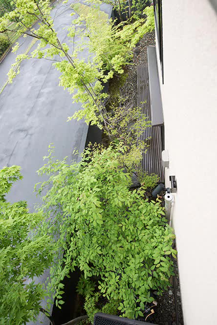 里山を思わせる植栽が、通りに潤いをもたらしています。