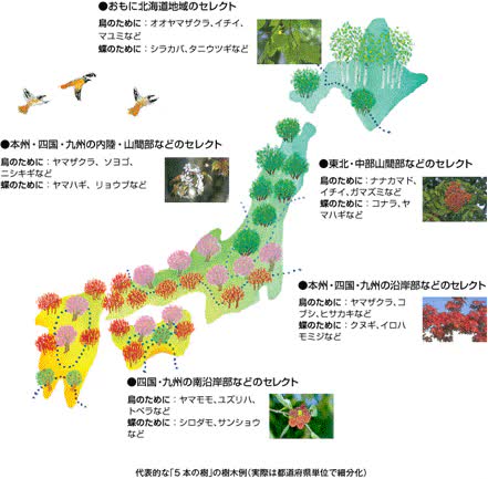地域の気候に合わせて樹種をセレクト