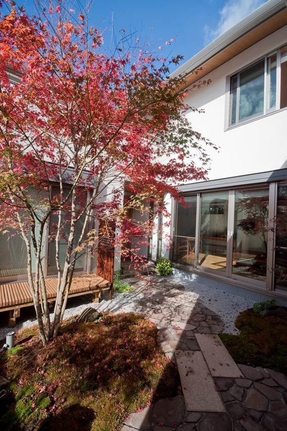 建物の二面が庭に面して、自然の光と風をふんだんに取り込む。