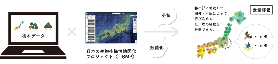 樹木データ×日本の生物多様性地図化プロジェクト（J-BMP）→分析 数値化 定量評価
                                      都市部に植栽した樹種・本数によって呼び込める鳥・蝶の種数を推測できる。