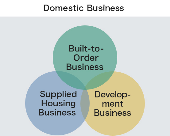 Domestic Business